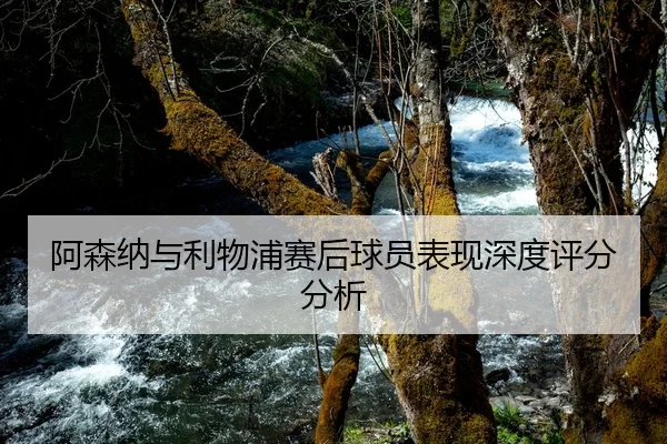 阿森纳与利物浦赛后球员表现深度评分分析